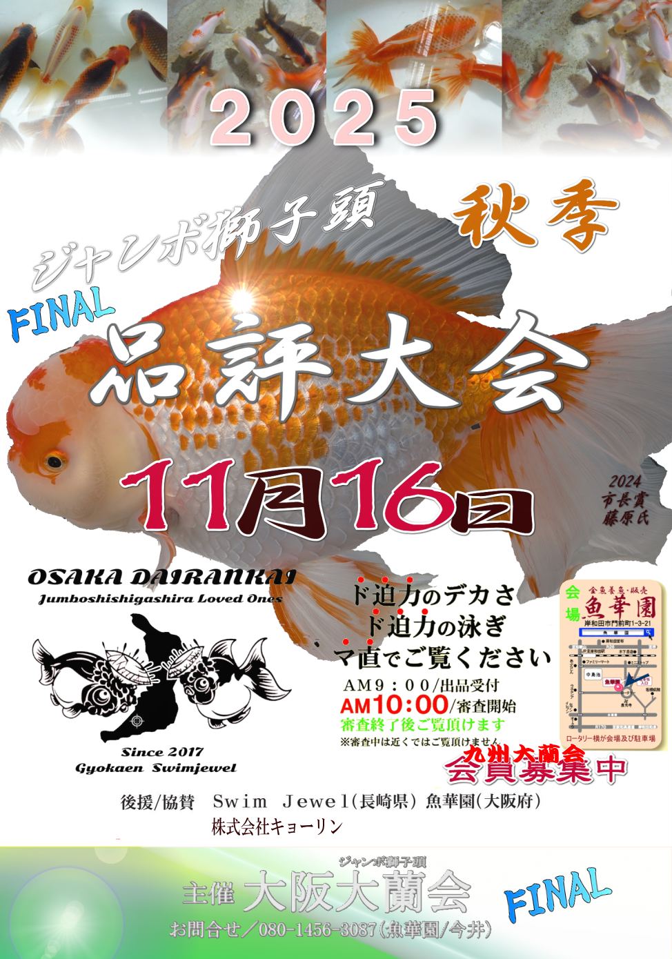 金魚、らんちゅう販売の魚華園 ｜ 大阪府岸和田市